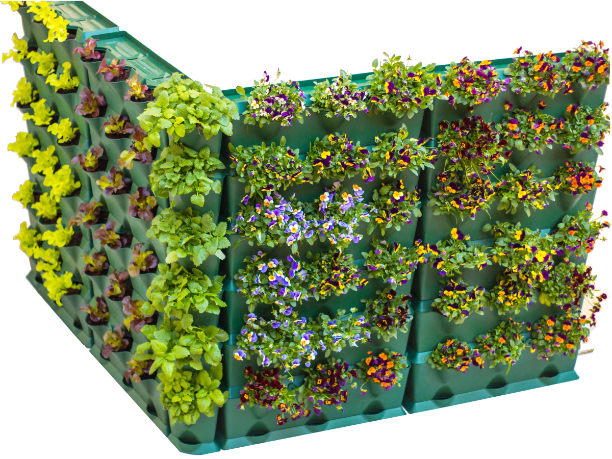 verticale tuin minigarden groen
