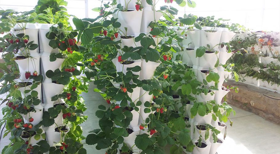 minigarden verticale tuin aardbeien